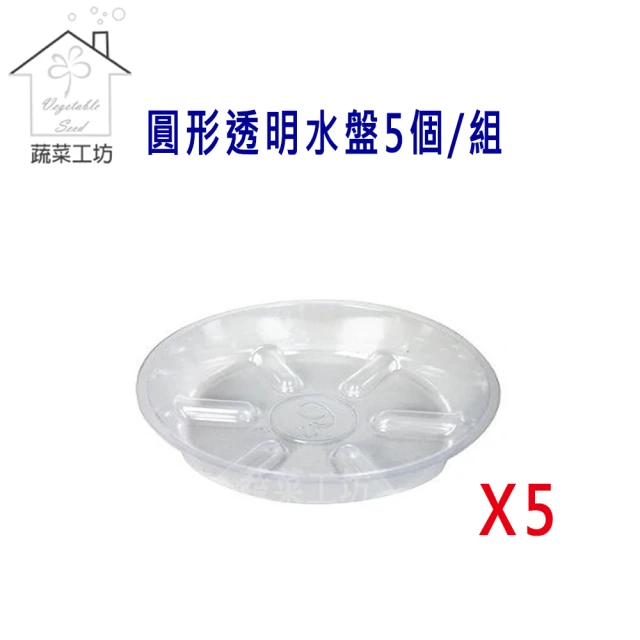 【蔬菜工坊】圓形透明水盤10號5個/組