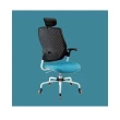 【舒樂活 4Health】舒背椅 高背 — 彈性健康辦公椅(電腦椅 辦公椅 書房椅 健康 人體工學 腰靠)