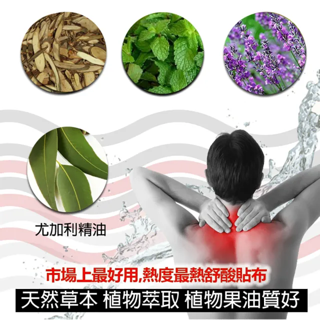 【金牌一條根】金牌金門一條根貼布超長超大片2包10片入先涼後熱(一條根貼布最大尺寸 大面積使用 痠痛消解)