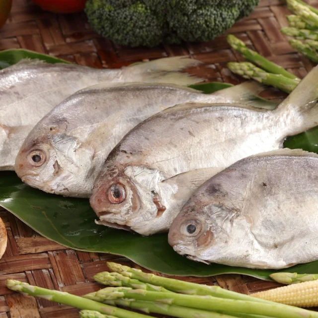 巧食家 A級肉鯽魚X5包 共20條 肉魚/刺鯧(去鰓去肚 真