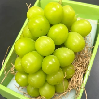 【RealShop】日本岡山晴王麝香超大串葡萄淨重700-800gx1房禮盒-最高等級(真食材本舖 中秋禮盒)