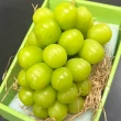 【RealShop】日本岡山晴王麝香超大串葡萄淨重700-800gx1房禮盒-最高等級(真食材本舖 中秋禮盒)
