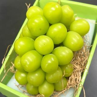 【RealShop】日本岡山晴王麝香大串葡萄淨重500-600g±10%x1房禮盒(送禮精品 真食材本舖)