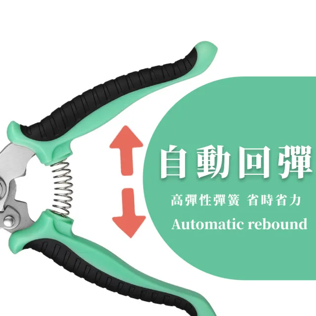 【園林工具】不鏽鋼鋒利彎刀型園藝剪刀(省力 高枝剪 修枝剪 果樹剪 花枝剪刀 粗枝剪刀 樹枝剪 剪定鋏 花剪)