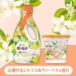 【P&G】日本季節限定款 柑橘馬鞭草系列1+1小資經濟組(盒裝洗衣球11顆+超濃縮洗衣精630g/平行輸入)