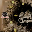 【摩達客】6尺/6呎-180cm頂級植雪裝飾聖誕樹-全套飾品+100燈LED小圓球珍珠燈串2串-暖白光/USB接頭