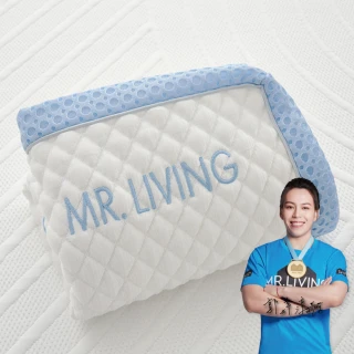 【MR. LIVING 居家先生】涼感減壓記憶枕-專用枕套(不適用於一般枕頭)