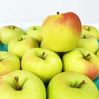 【RealShop】日本名月蘋果 10kg±10%x1盒 36-40顆(原箱出貨 真食材本舖)