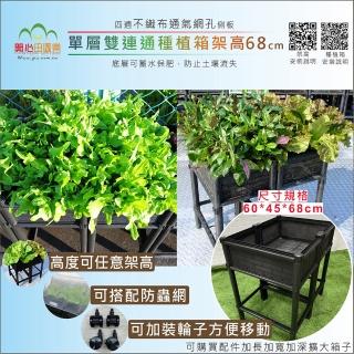 【育材】單層雙連通架高種植箱 60*45*68cm(組合種植箱/籃耕離地栽培/可選多種側板款式)