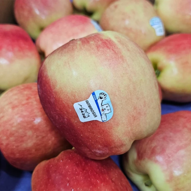 RealShop 真食材本舖 美國富士蜜蘋果2kg±10%x