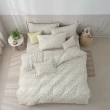 【棉眠DreamTime】100%精梳棉四件式兩用被床包組-煙花(雙人)