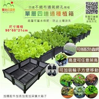 【育材】單層四連通種植箱 90*60*21cm(組合種植箱/籃耕離地栽培/可選多種側板款式)