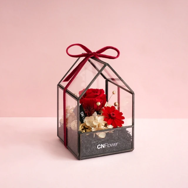 CNFlower 西恩 珍珠聖誕 花圈(送禮/植栽/植物/聖