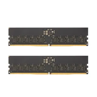 【v-color 全何】DDR5 ECC DIMM 4800 32GB kit 16GBx2(伺服器記憶體)