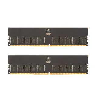 【v-color 全何】DDR5 ECC DIMM 4800 64GB kit 32GBx2(伺服器記憶體)