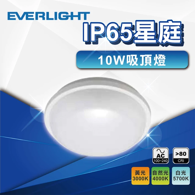 Everlight 億光 25入 LED燈管 2尺10W T