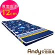 【Andy Bedding 安迪寢具】就是厚胖胖床墊-單人3尺(床墊 硬式床墊 單人床 折疊床 加厚床墊 台灣製床墊)