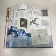 【DK Publishing】Amazing Earth + Amazing Animal Journeys