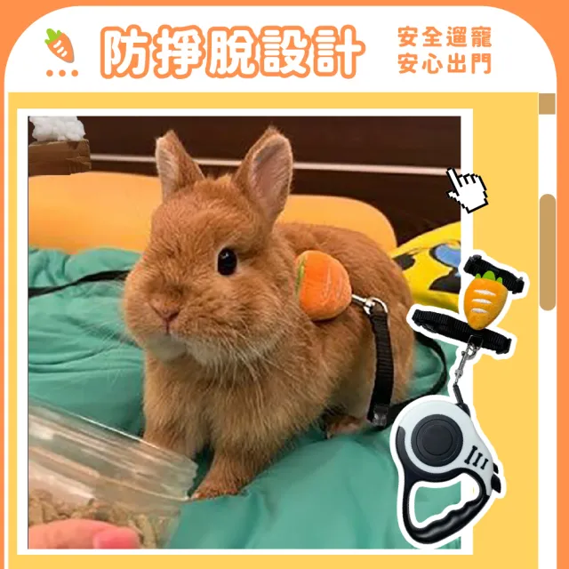 【兔兔出門】紅蘿蔔造型兔子專用牽引繩(外出 項圈 揹帶 寵物兔 小型犬 狗狗 貓咪 寵物用品 寵物牽繩)