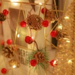 【Garland】LED松果銅線燈 2米(花環燈 LED燈串 裝飾 氣氛 節日彩燈串 聖誕燈飾 求婚 聖誕樹佈置 陽台佈置)