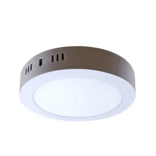 【彩渝】LED 超薄型吸頂燈 12W(平圓吸頂燈 高光效 客廳燈 臥室燈具 房間燈)