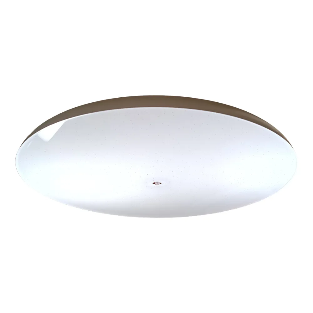 【彩渝】LED 智能吸頂燈 48W(音樂吸頂燈 高光效 客廳燈 臥室燈具 房間燈)
