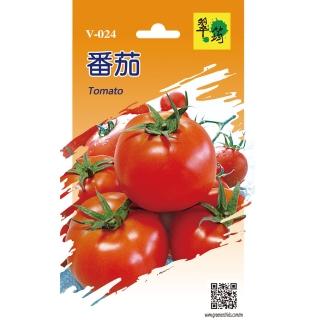 【翠筠用品】蔬菜種子D組