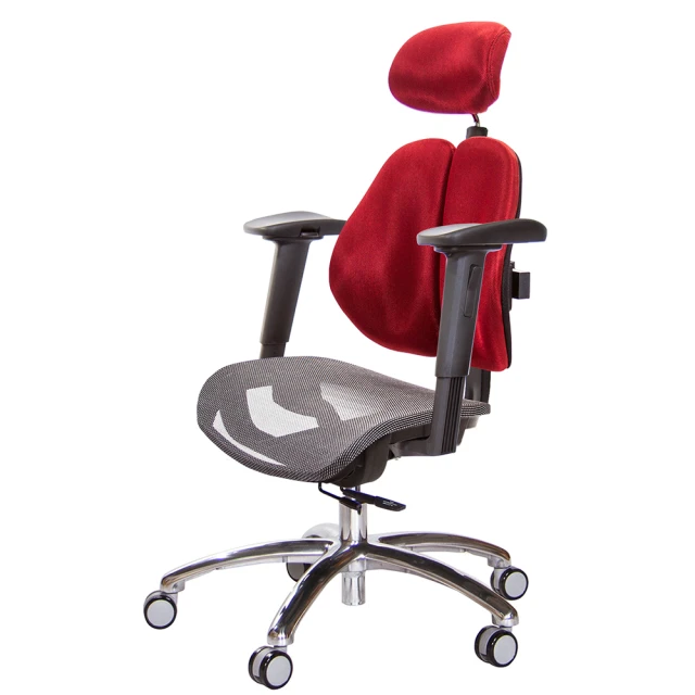 GXG 吉加吉GXG 吉加吉 高雙背網座 工學椅 鋁腳/2D手遊休閒扶手(TW-2806 LUA2JM)