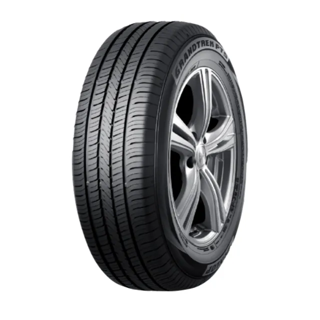 【DUNLOP 登祿普】輪胎 登祿普 PT5-2256017吋_四入組_225/60/17(車麗屋)