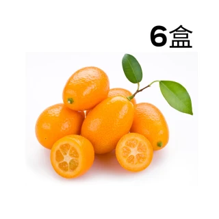 【RealShop】日本宮崎縣金桔  250g±10% 原裝x6盒(PE盒 真食材本舖)