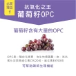 【MedBIO美百優】OPC-3葡萄籽益生菌一入30粒(幫助消化 營養補給 調節生理機能)