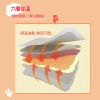 【LEBON】可愛動物暖貼暖暖包/單款隨機樣式(10入)