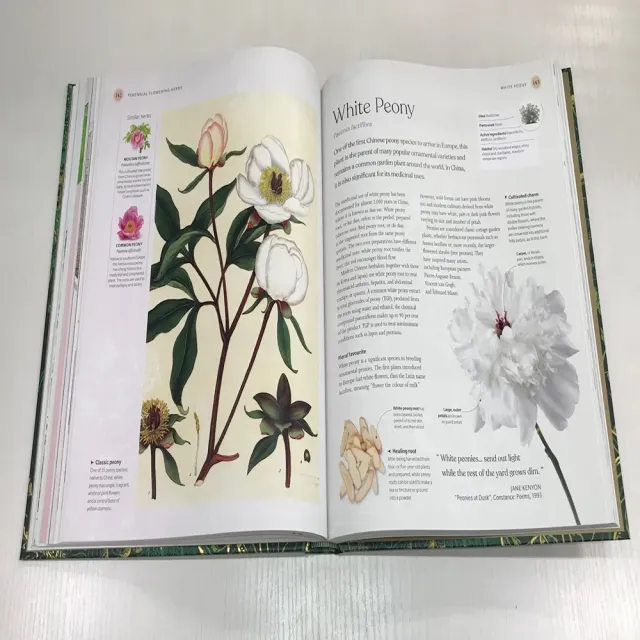 【DK Publishing】The Herb Book