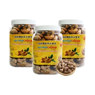 【VIETNAM CASHEW】越南頂級鹽酥帶皮腰果3罐組(480g/罐)