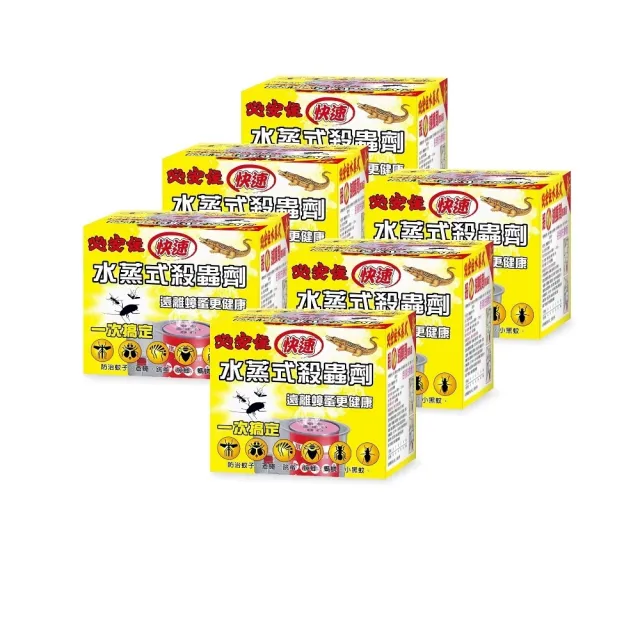 【必安住】水蒸式殺蟲劑20g-6入(適用6-8坪 除蟲首選!)