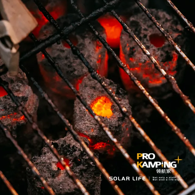 【Pro Kamping 領航家】炭烤精靈椰炭1.2KG/3入(烤肉木炭 無煙木炭 炭精椰炭 環保椰子炭 燒烤木炭)
