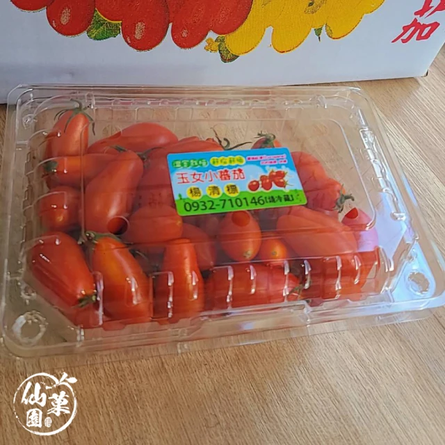 仙菓園 台灣 溫室玉女小番茄.約600g/盒.2盒入.120