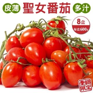 【WANG 蔬果】臺灣嚴選溫室聖女番茄600gx8盒(600g/盒)