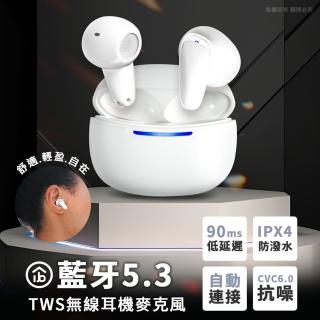 【aibo】BTDX 真無線TWS 智慧觸控藍芽V5.3耳機麥克風(搭載充電盒)