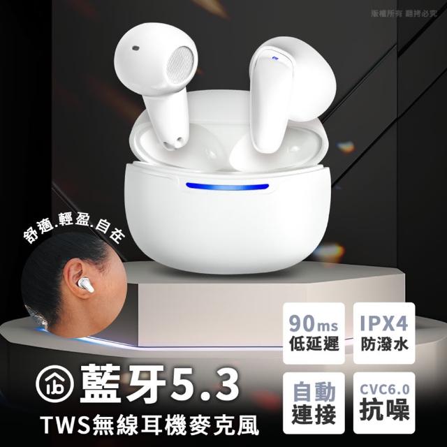 【aibo】BTDX 真無線TWS 智能觸控藍芽V5.3耳機麥克風(搭載充電盒)