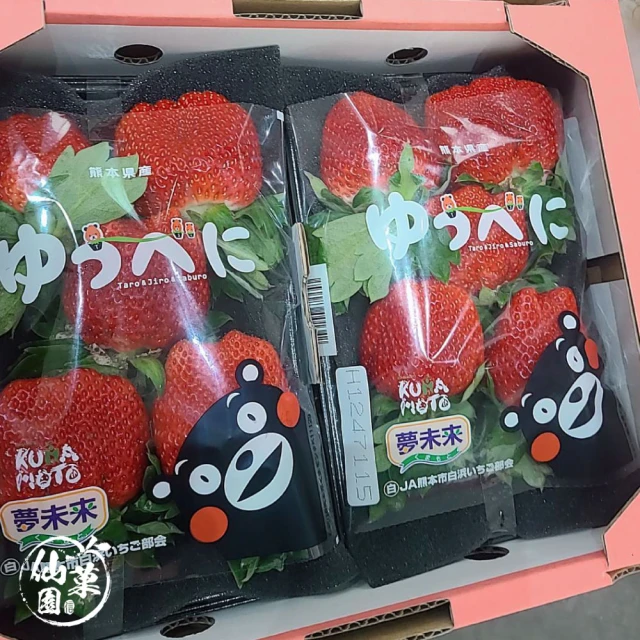 仙菓園 日本福岡甘王草莓 盒裝.約500g±10% 兩盤一盒