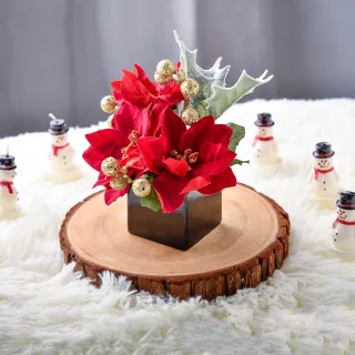 【Meric Garden】高仿真台灣手工限定金雪亮聖誕紅小盆栽1入/組(聖誕紅 聖誕盆栽 聖誕擺飾 桌上擺件)