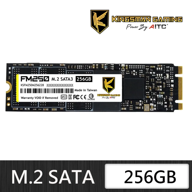【AITC 艾格】FM250_256GB M.2 SATA SSD 固態硬碟(讀：560M/寫：500M)