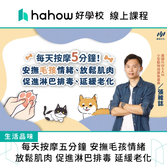 Hahow 好學校 每天按摩五分鐘 安撫毛孩情緒 放鬆肌肉 促進淋巴排毒 延緩老化