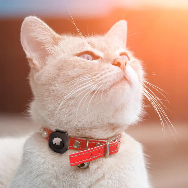 【Spigen】SGP AirTag Pet Collar-寵物項圈環保護殼