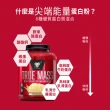 【BSN 畢斯恩】Truemass 頂尖能量綜合乳清蛋白 5.82磅(巧克力奶昔)