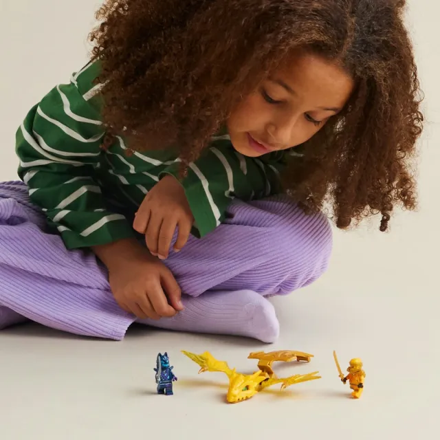 【LEGO 樂高】旋風忍者系列 71803 亞林的升龍攻擊(忍者積木 兒童玩具)