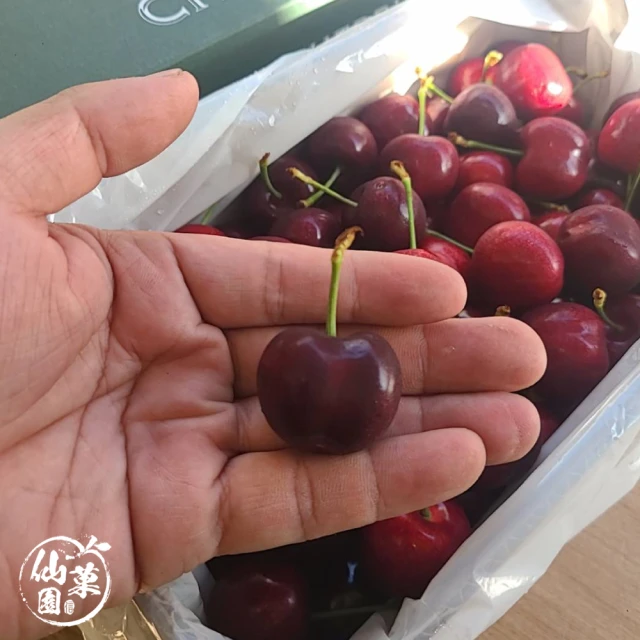 仙菓園 智利空運草莓白櫻桃3J規格 1kg±10%(冷藏配送
