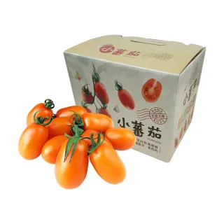 【每日宅鮮】美濃金黃橙蜜香小番茄禮盒(4盒／2.4kg±10% x1箱 免運)