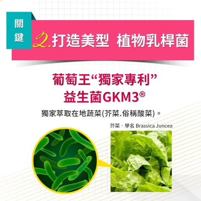 葡萄王】認證易得纖x4瓶(30粒/瓶;榮獲國家健康食品認證/不易形成體脂肪